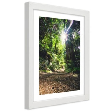 Quadro con cornice, Sentiero nel fitto della foresta...
