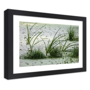 Quadro con cornice, Erbe sulla spiaggia - 45x30