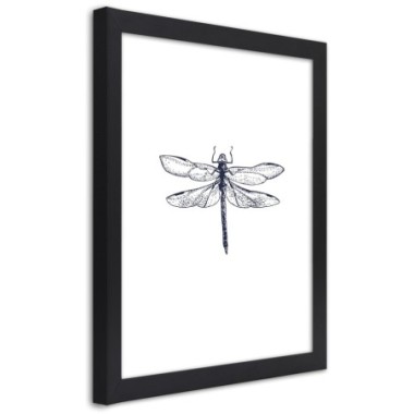 Quadro con cornice, Libellula disegnata - 30x45