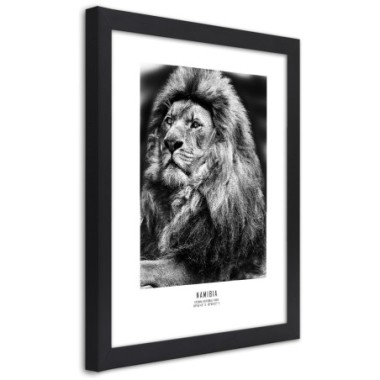 Quadro con cornice, Simbolo dell'Africa - 30x45