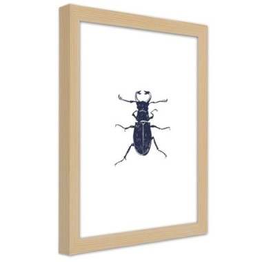 Quadro con cornice, Gallo nero - 30x45