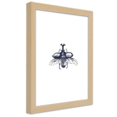 Quadro con cornice, Scarabeo volante - 30x45
