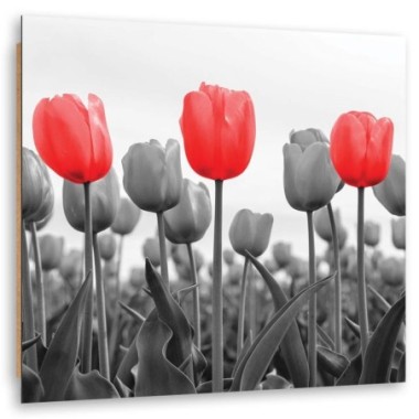 Quadro deco panel, Tulipani rossi nel prato - 30x30