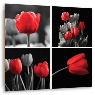 Quadro deco panel, Set di tulipani rossi - 30x30