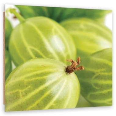 Quadro deco panel, Macroeatro - 40x40