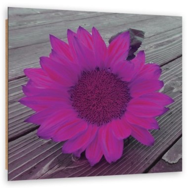 Quadro deco panel, Girasole rosa - 30x30