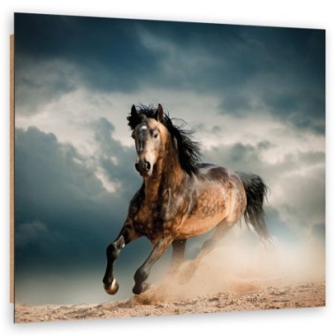 Quadro deco panel, Galoppo di cavallo - 40x40