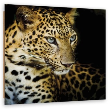 Quadro deco panel, Leopardo maestoso - 30x30