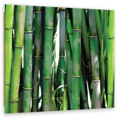 Quadro deco panel, Bamboo verde - 30x30
