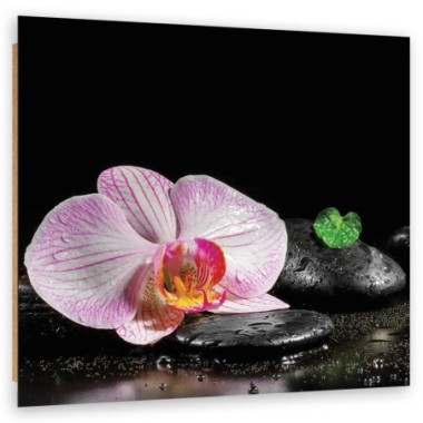 Quadro deco panel, Uno zen in fiore di orchidea - 30x30