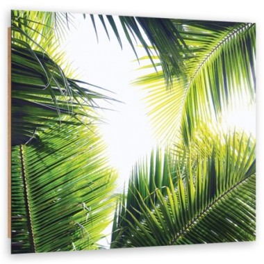 Quadro deco panel, foglie di palma - 30x30