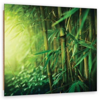 Quadro deco panel, Bamboo nella giungla - 30x30