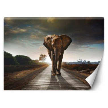 Carta Da Parati, Elefante nel modo animale Africa -...