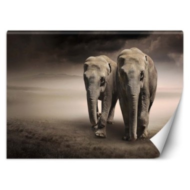 Carta Da Parati, Coppia di elefanti - 100x70