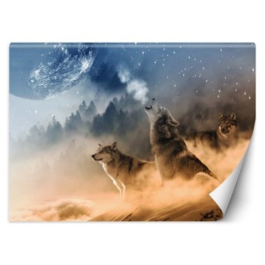 Carta Da Parati, lupi animali foresta natura - 100x70