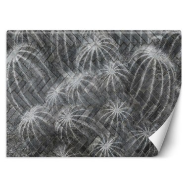 Carta Da Parati, Fiori di cactus grigio - 100x70