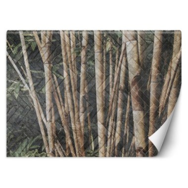 Carta Da Parati, Foresta di bambÃ¹ - 100x70