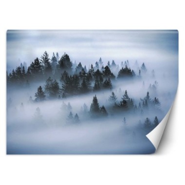 Carta Da Parati, Foresta nella nebbia - 100x70