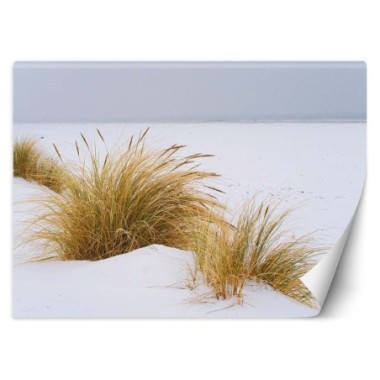 Carta Da Parati, Spiaggia Lago Dune Paesaggio - 100x70