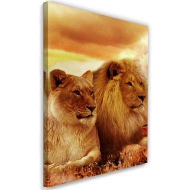 Stampa su tela, Re leone e leonessa - 40x60