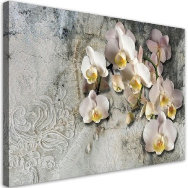 Quadro su tela, Fiori di orchidee soleggiate - 60x40