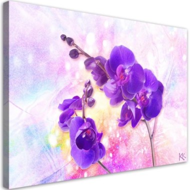 Quadro su tela, Fiore di orchidea viola - 60x40