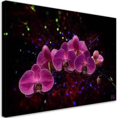 Quadro su tela, Orchidea su uno sfondo scuro - 60x40