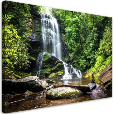 Quadro su tela, Cascata nella foresta verde - 60x40