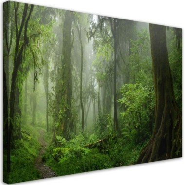 Quadro su tela, Foresta della giungla tropicale - 60x40