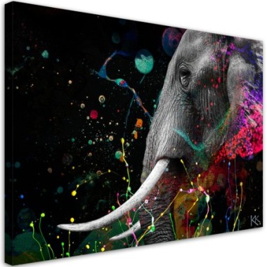 Quadro su tela, Astrazione di elefante africano - 60x40