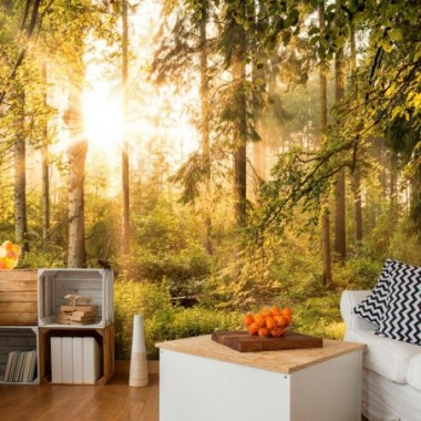 Fotomurale adesivo - Mystic of the Morning - 196x140