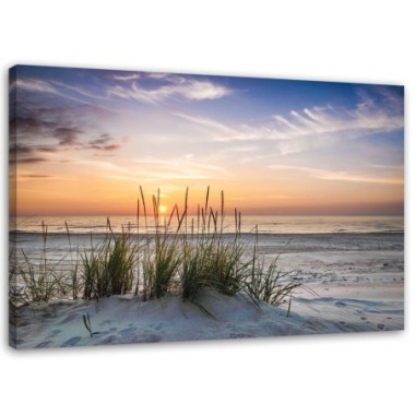 Quadro su tela, Spiaggia erba di mare tramonto - 60x40