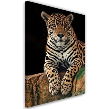 Quadro su tela, Leopardo Animali Natura - 40x60