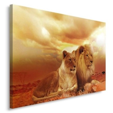 Quadro su tela, Leoni Animali Africa Marrone - 60x40