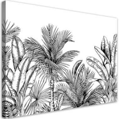 Quadro su tela, Foglie in bianco e nero - 60x40