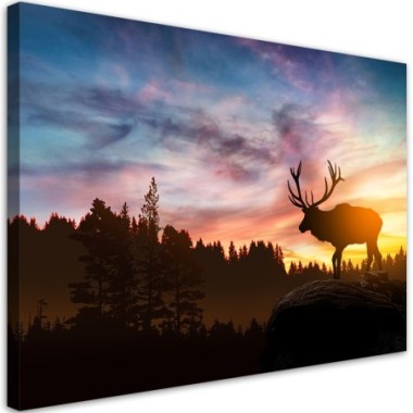 Quadro su tela, Deer al tramonto - 60x40