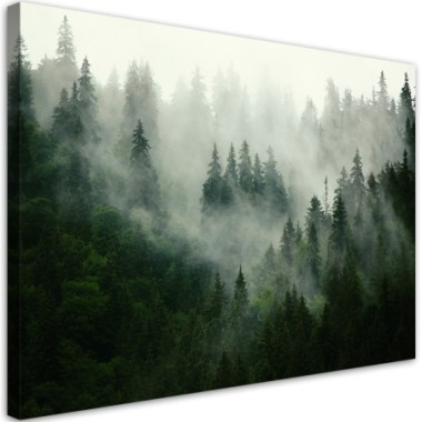 Quadro su tela, Foresta nella nebbia - 60x40