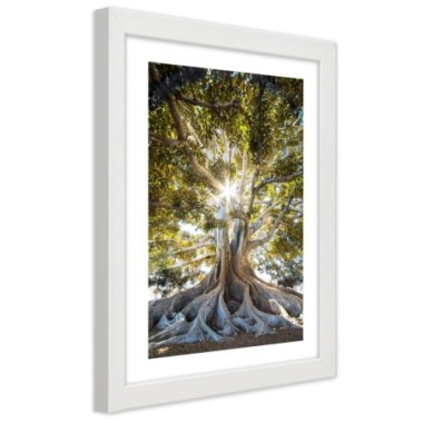 Quadro con cornice, Grande albero esotico - 40x60