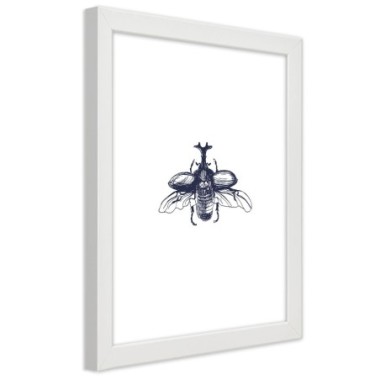Quadro con cornice, Scarabeo volante - 40x60