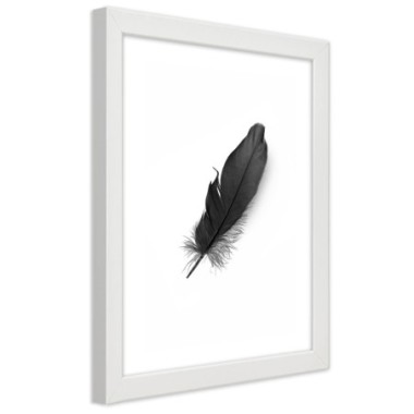 Quadro con cornice, Piuma nera - 40x60