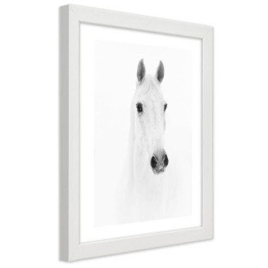 Quadro con cornice, Cavallo grigio - 40x60