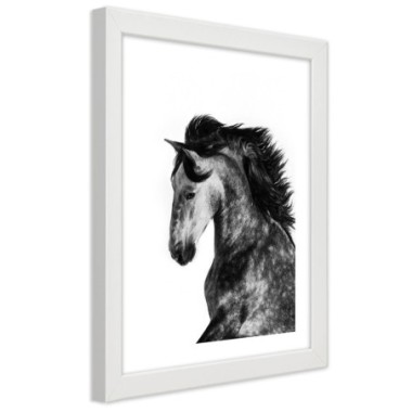 Quadro con cornice, Cavallo selvaggio - 40x60