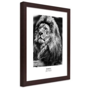Quadro con cornice, Simbolo dell'Africa - 40x60