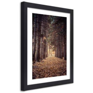 Quadro con cornice, Foresta in autunno - 40x60