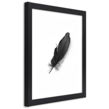 Quadro con cornice, Piuma nera - 40x60