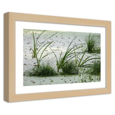 Quadro con cornice, Erbe sulla spiaggia - 60x40