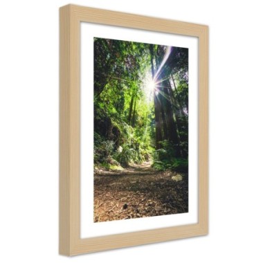 Quadro con cornice, Sentiero nel fitto della foresta...