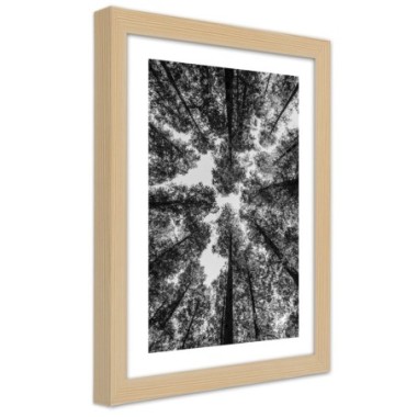 Quadro con cornice, Corone di alberi - 40x60