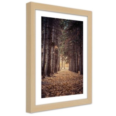 Quadro con cornice, Foresta in autunno - 40x60