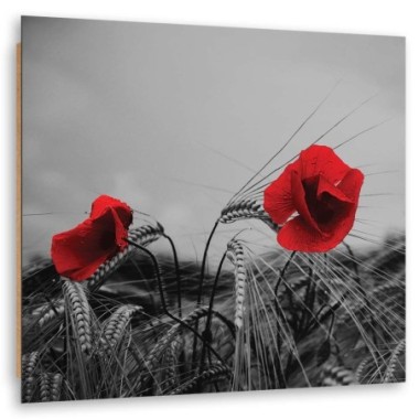 Quadro deco panel, Papaveri rossi e grano - 50x50